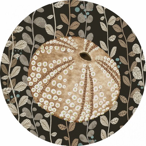 By the Shoreline Collection C