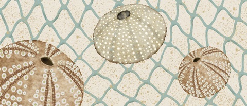 By the Shoreline Collection D