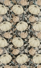 By the Shoreline Collection E