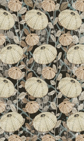 By the Shoreline Collection E