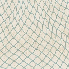 By the Shoreline Collection F