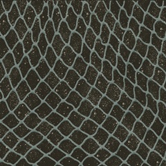 By the Shoreline Collection G