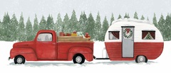 Camping for Christmas Collection D