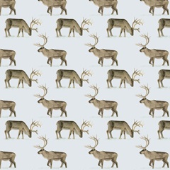 Camping for Christmas Collection H