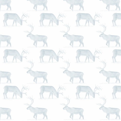 Camping for Christmas Collection I