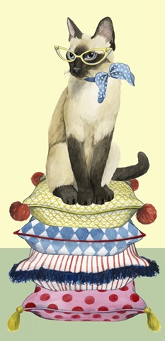 Cat Lady Collection B