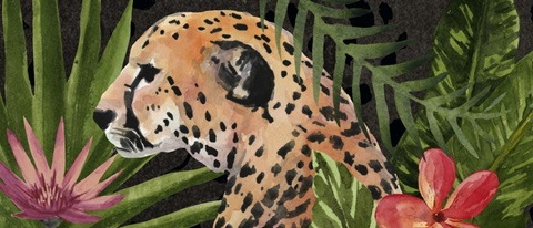 Cheetah Bouquet Collection D