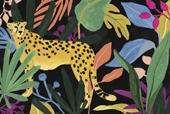 Cheetah Kingdom Collection A