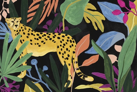 Cheetah Kingdom Collection A