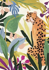 Cheetah Kingdom Collection B