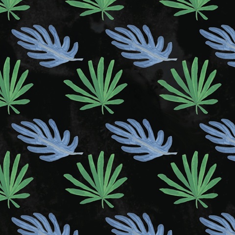 Cheetah Kingdom Collection F