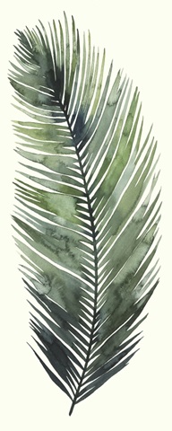 Dancing Palm I