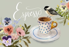 Early Bird Collection A