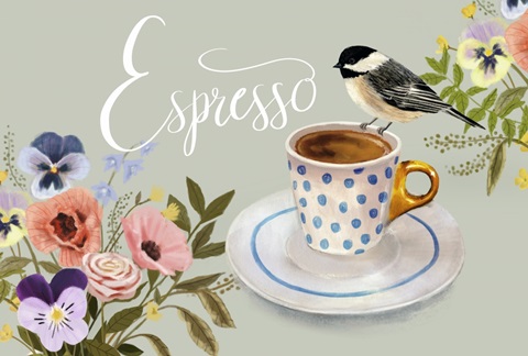 Early Bird Collection A