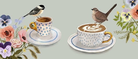 Early Bird Collection D