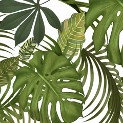 FabFunky Palm Collection D