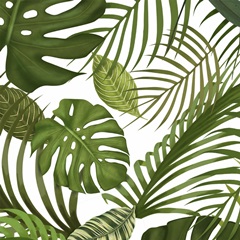 FabFunky Palm Collection F