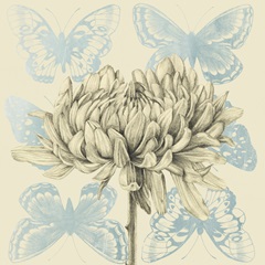 Fairyflies Collection A