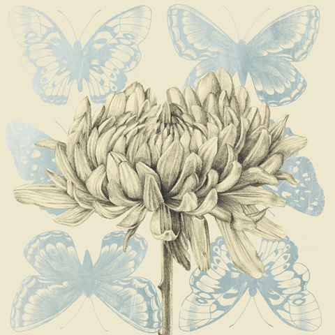 Fairyflies Collection A