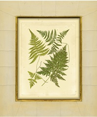 Fern with Crackle Mat I
