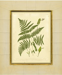 Fern with Crackle Mat IV