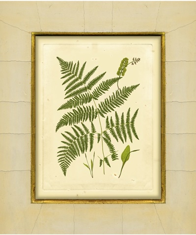 Fern with Crackle Mat IV