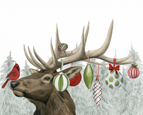 Festive Forest Collection A