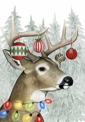 Festive Forest Collection B