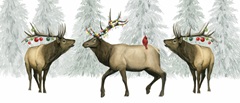 Festive Forest Collection D