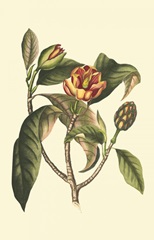 Flourishing Foliage I