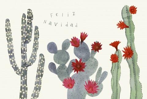 Flowering Christmas Cactus Collection A