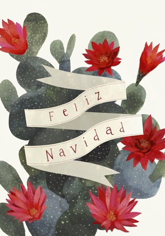 Flowering Christmas Cactus Collection B