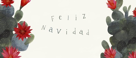 Flowering Christmas Cactus Collection D