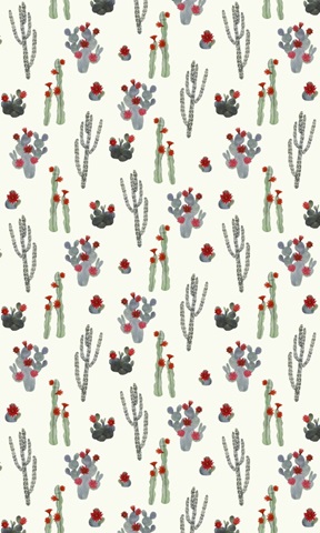 Flowering Christmas Cactus Collection E