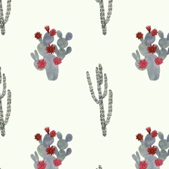 Flowering Christmas Cactus Collection F