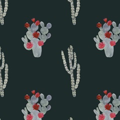 Flowering Christmas Cactus Collection G