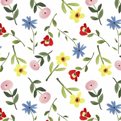 Frida's Dream Collection I