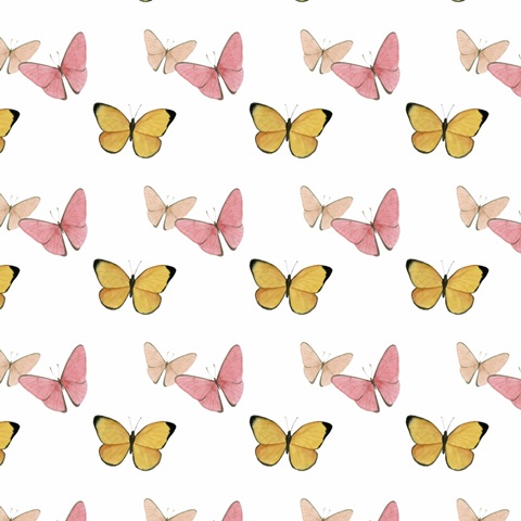 Frida's Flowers Collection H