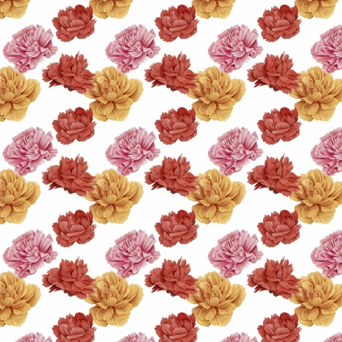 Frida's Flowers Collection I