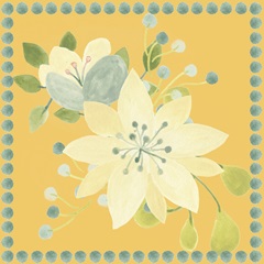 Garden Galore Collection C