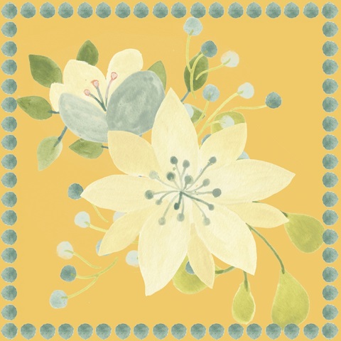 Garden Galore Collection C