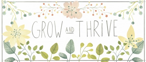 Garden Galore Collection H