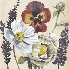 Garden Studies Collection A