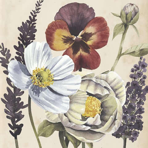 Garden Studies Collection A