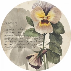 Garden Studies Collection E