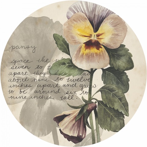 Garden Studies Collection E