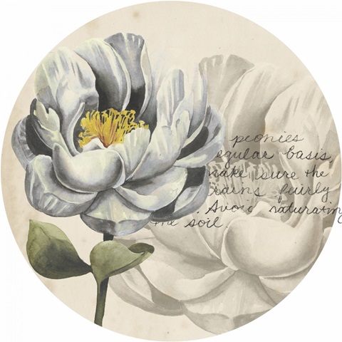 Garden Studies Collection F