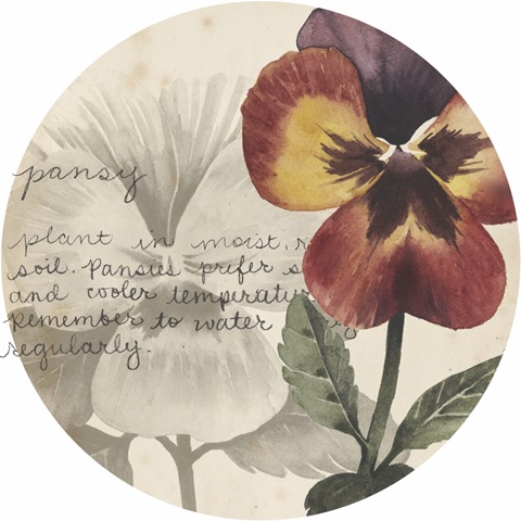 Garden Studies Collection G