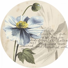 Garden Studies Collection H