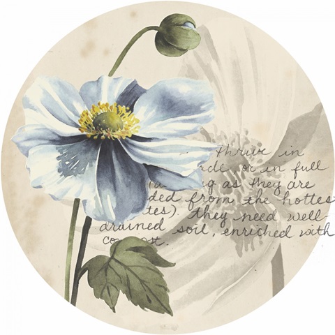 Garden Studies Collection H